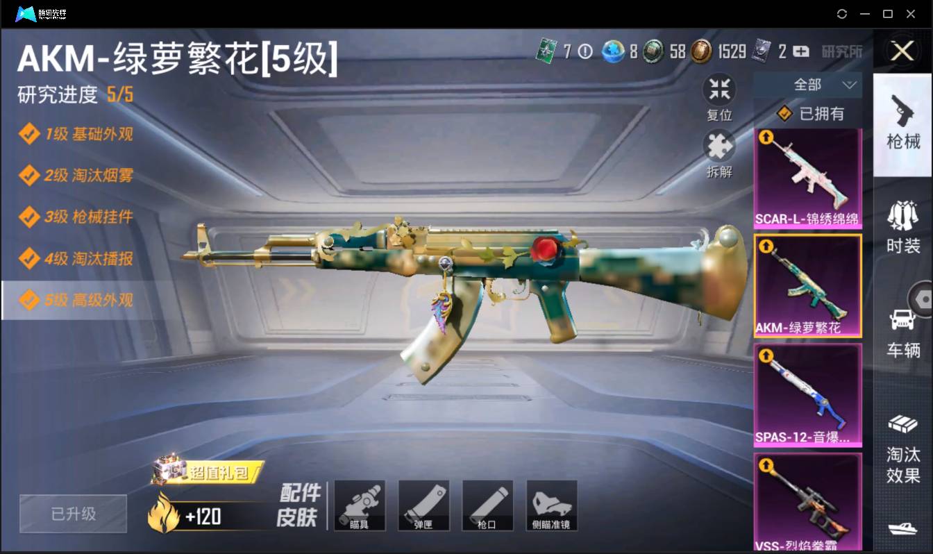 HPSW3383322和平精英账号详情图18 HPSW3383322和平精英账号详情图18