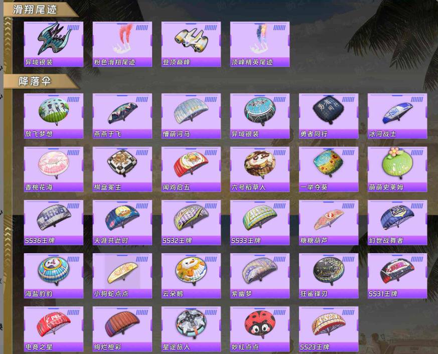 HPSW48610和平精英账号详情图5