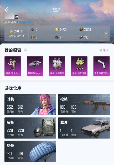 HPSW413057和平精英账号详情图3