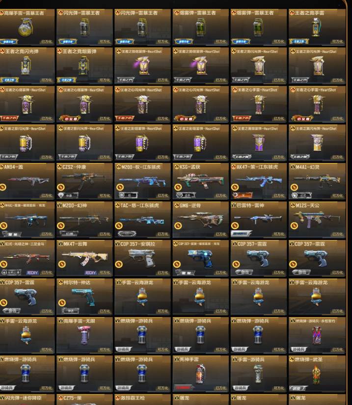 CFMSW46581枪战王者账号详情图2