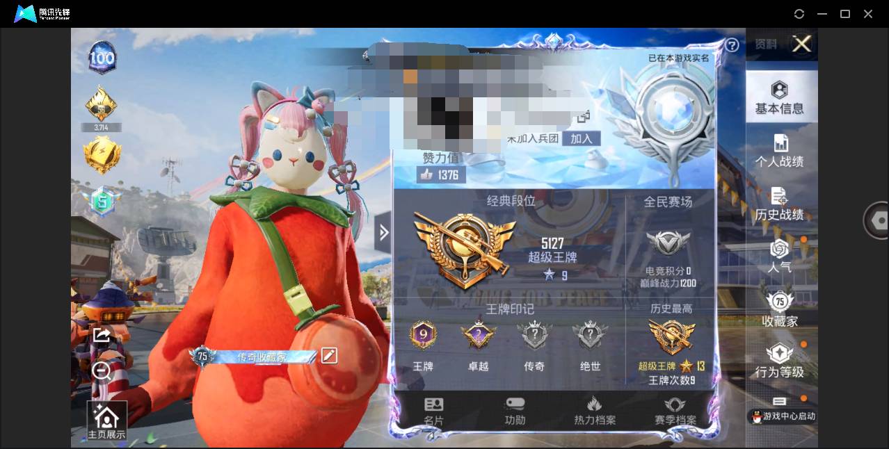 HPSW462393和平精英账号详情图2