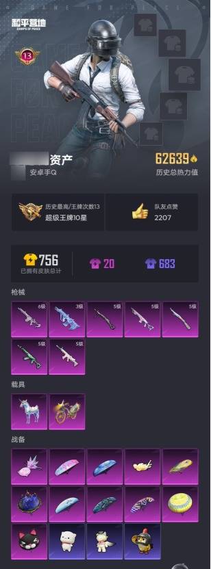 HPSW479637和平精英账号详情图2