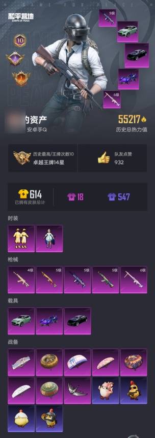 HPSW4133755和平精英账号详情图2 HPSW4133755和平精英账号详情图2