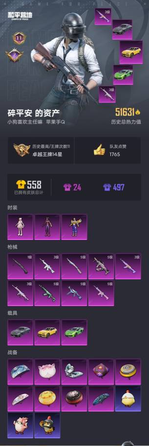 和平精英账号安卓QQ007M:m0947【苹果Q、不可二次】【3粉装，9粉枪，3载具，9粉色战备，113套装，时装429，161枪械，159装备，3滑翔尾翼，43降落伞】等级：Lv.65 历史最高段位:卓越王牌14星 当